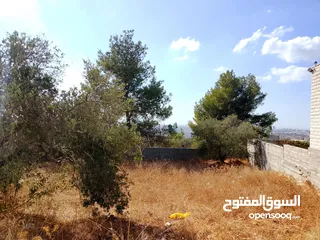  1 ارض للبيع في كفر نعمة