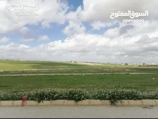  1 ارض   للبيع في رجم عميش