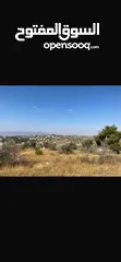  3 قطعت ارض في أم جوزه دنم و 23 متر (قابل  للتفاوض)موقع رائع الحجر مستورد من نابلس و انبا في 1950