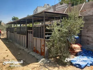  5 غرف خيل حديد