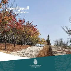  4 أرض سكنية  للبيع في ناعور "أبو الغزلان  " من المالك دون وساطة
