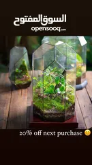  7 Moss walls for houses and office + Gallery 1 art work