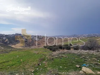  4 ارض للبيع تصلح لبناء فيلا خاصة في الدمينة بمساحة ارض 1000م