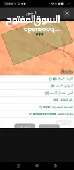  1 ارض للبيع في عمان الجديدة الموقر
