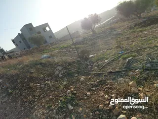  4 ارض على شارع رئسي بين الدير وأم التوت زيتون وللبناء جبلية وكاشفة