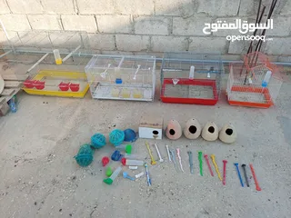  2 اقفاس عصافير مع أغراض عشوش فخارات اصابع مشارب أقرأ الوصف