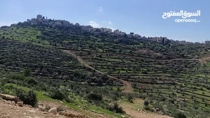  4 قطعة ارض 562 متر للبيع في كوبر لدواعي السفر