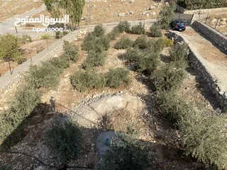  18 مزرعة للبيع في يرقا-السلط، إسكان المهندسين