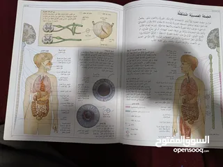  6 كتاب تشريحي عن موسوعة جسم الانسان الشاملة