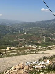  4 اجمل ارض للبيع جرش اسكان المهندسين 500متر مفروزه بقوشان مستقل اطلاله مميزه منبسطه مثل الكفل