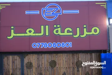  29 مزرعه العز طريق الزرقاء جرش