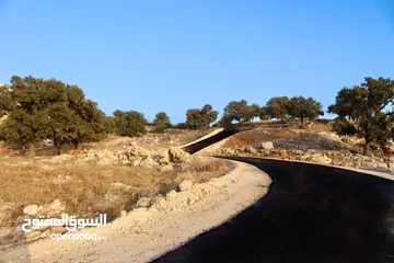  4 أرض للبيع في أرقى احياء المملكة بدر الجديدة ذات اطلاله