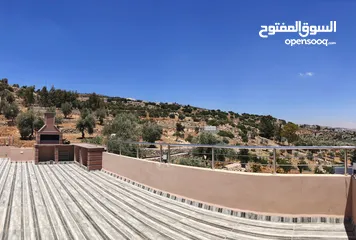  12 مزرعة مميزة  14 دونم للبيع مع بيت في منطقة جرش سوف