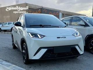  2 بس واي دي سيجول 305k 2023