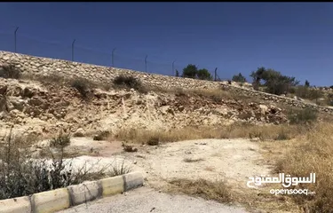  5 مزرعة للبيع في السلط