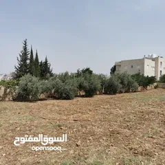 10 قطعة أرض للبيع