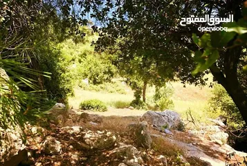  3 اطلاله خلابه1850 م زي