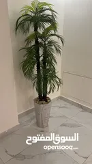  21 متفرقات ايكيا