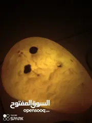  1 السلام عليكم  حجر عقيق سليماني على شكل وجه  للمهتمين طبيعي من النوادر