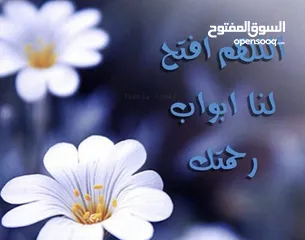  2 شقة للايجار/ماركا الشمالية