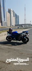  12 Suzuki Gsxr 1000 cc for sale