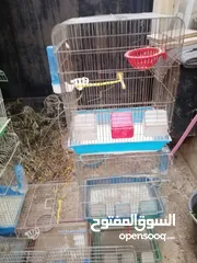 24 قفص ببغاء كبير يتسع لأكثر من طير مستعمل نظيف