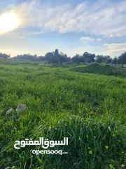  6 قطعة ارض للبيع