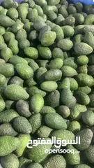  10 مشروع تجاري مربح بحاجه لتمويل