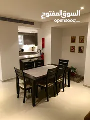  2 fully furnished apartment for rent