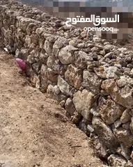  6 مقاولات بناء جدران حجر طلياني تبليط ساحات حجر  تعمير اراضي وتشييك وبناء جدران سلاسل حجرية