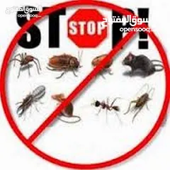  8 مكافحة الحشرات و اقوارض ارخص الاسعار جميع مناطق  الكويت