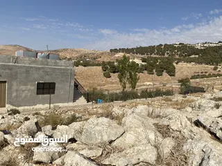  16 مزرعة للبيع في يرقا-السلط، إسكان المهندسين