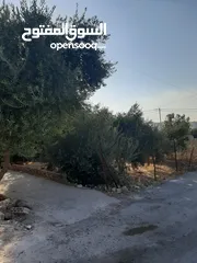  5 منزل للبيع