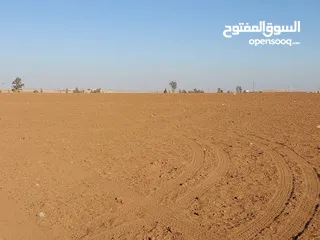  11 مادبا ماعين مشرفه المرعاوي  قطعة ارض زراعية مميزة  ذات اطلالة على البحر الميت واصل الخدمات 4150 متر
