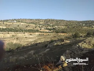  6 ارض بالعالوك مساحة 3 دونم و 400 متر في اجمل مناطق المحمر  للمهتمين : الاتصال على الارقام يلي بالوصف