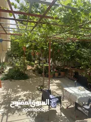  2 بنايه كامله اربع طوابق للبيع كامله بسعر مغري خلف الكارفور في اجمل مناطق مادبا
