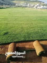  1 نجيل طبيعي وصناعي