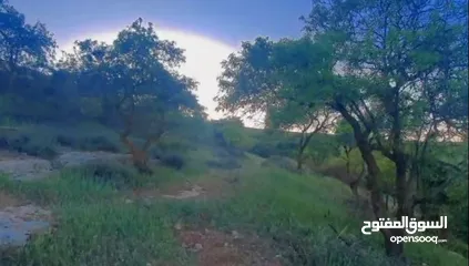  2 قطعه ارض للبيع من المالك مباشره ذات اطلاله بانوراما خلابه مفروزه