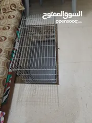  1 قفص ببغاء للبيع