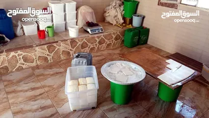  4 مطلوب شريك ممول لمعمل اجبان  يعمل بشكل جيد