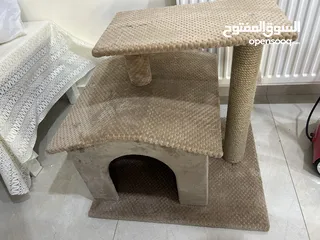  1 منزل قطط جديد