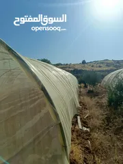  4 بيت بلاستيك