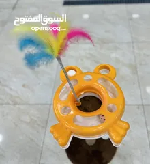  5 العاب قطط مع خداشة