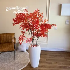  21 اجمل واحدث القواوبر