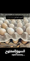  1 بيض عماني للبيع السله ريالين الموقع السيب