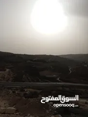  5 العال والروضة حوض الزقيبه 505م سكن ج 3شوارع إطلالة غربية خلابه بسعر مغري متوفر عدة قطع