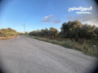  3 قطعة أرض استثمارية للبيع بسعر مغري من المالك مباشرة