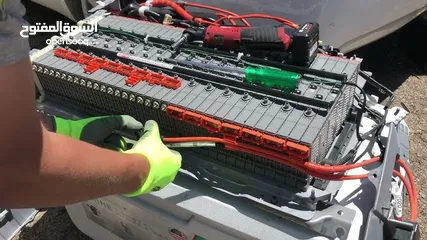  1 خلايا هايبرد