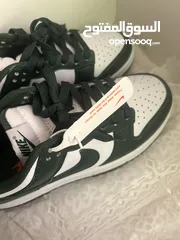  2 Nike Dunks Green