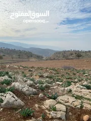  4 14 قطعة أرض في أجمل مناطق كفرنجه في عجلون